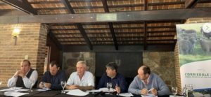 Lee más sobre el artículo El Corriedale se afianza como pilar de la producción ovina 